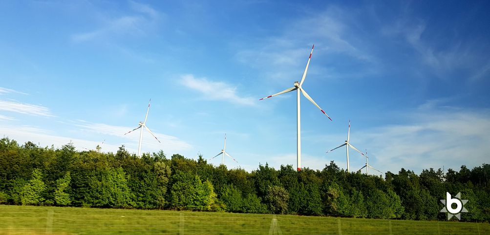 Carbon Accounting Methods Guide