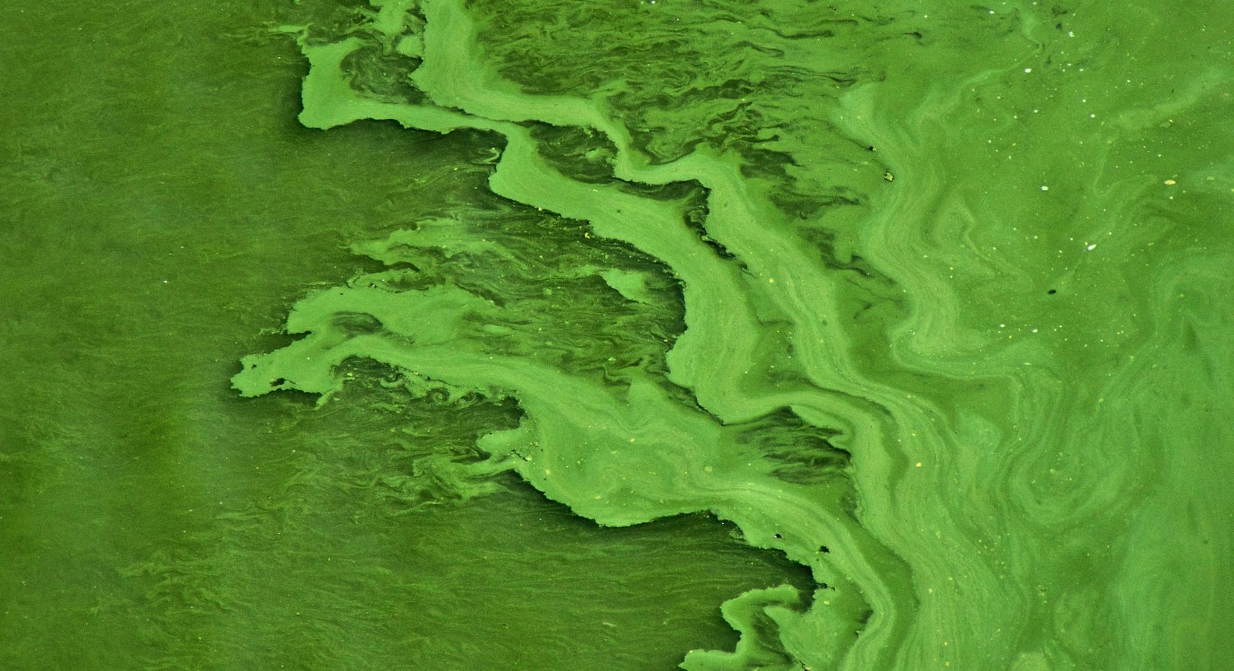 Greenwashing Examples - And How to Avoid it