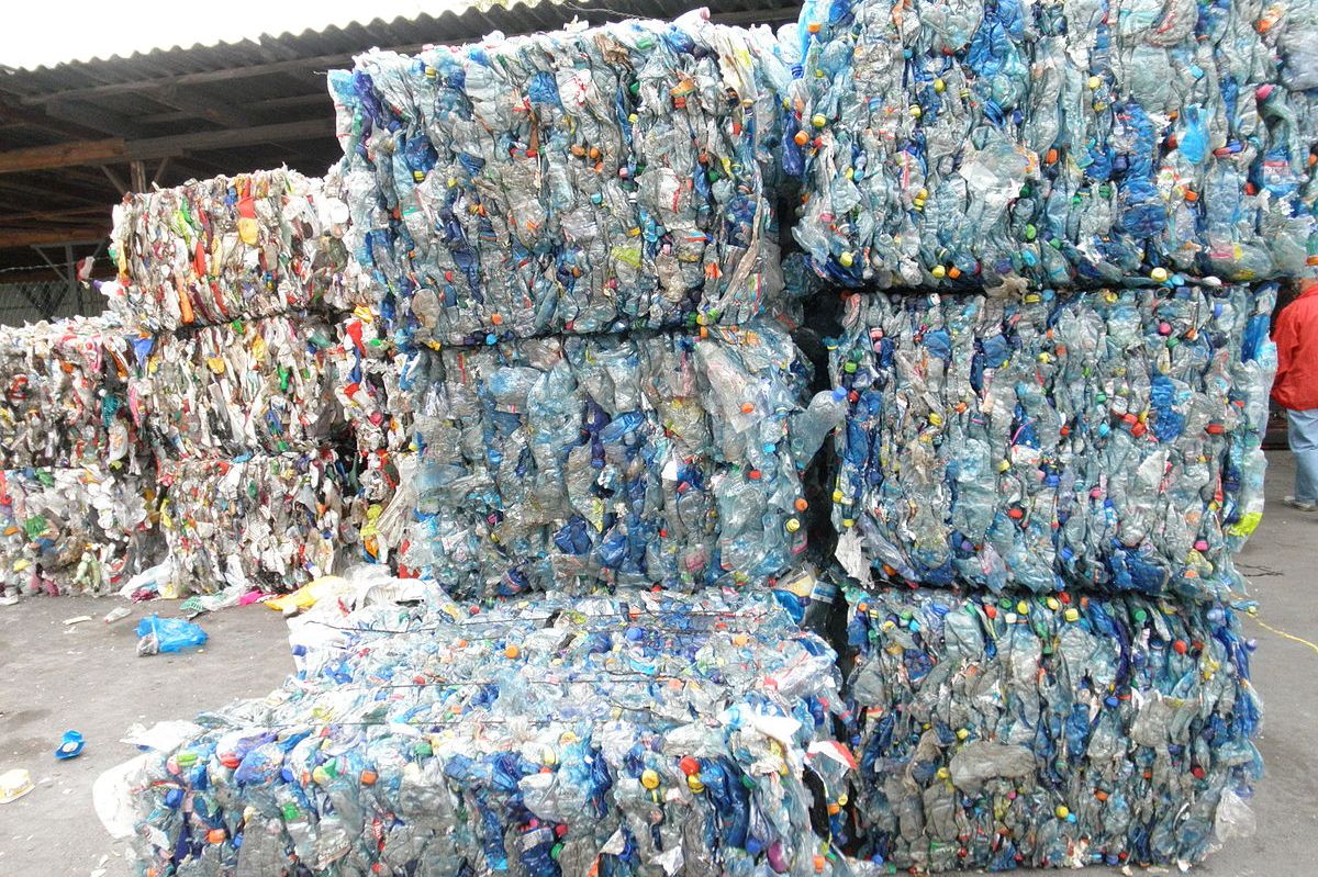 sustainable products, packaging, and supply chains