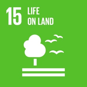 UN SDG Nature Biodiversity