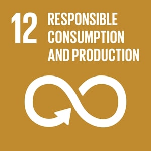 UN SDG Circularity