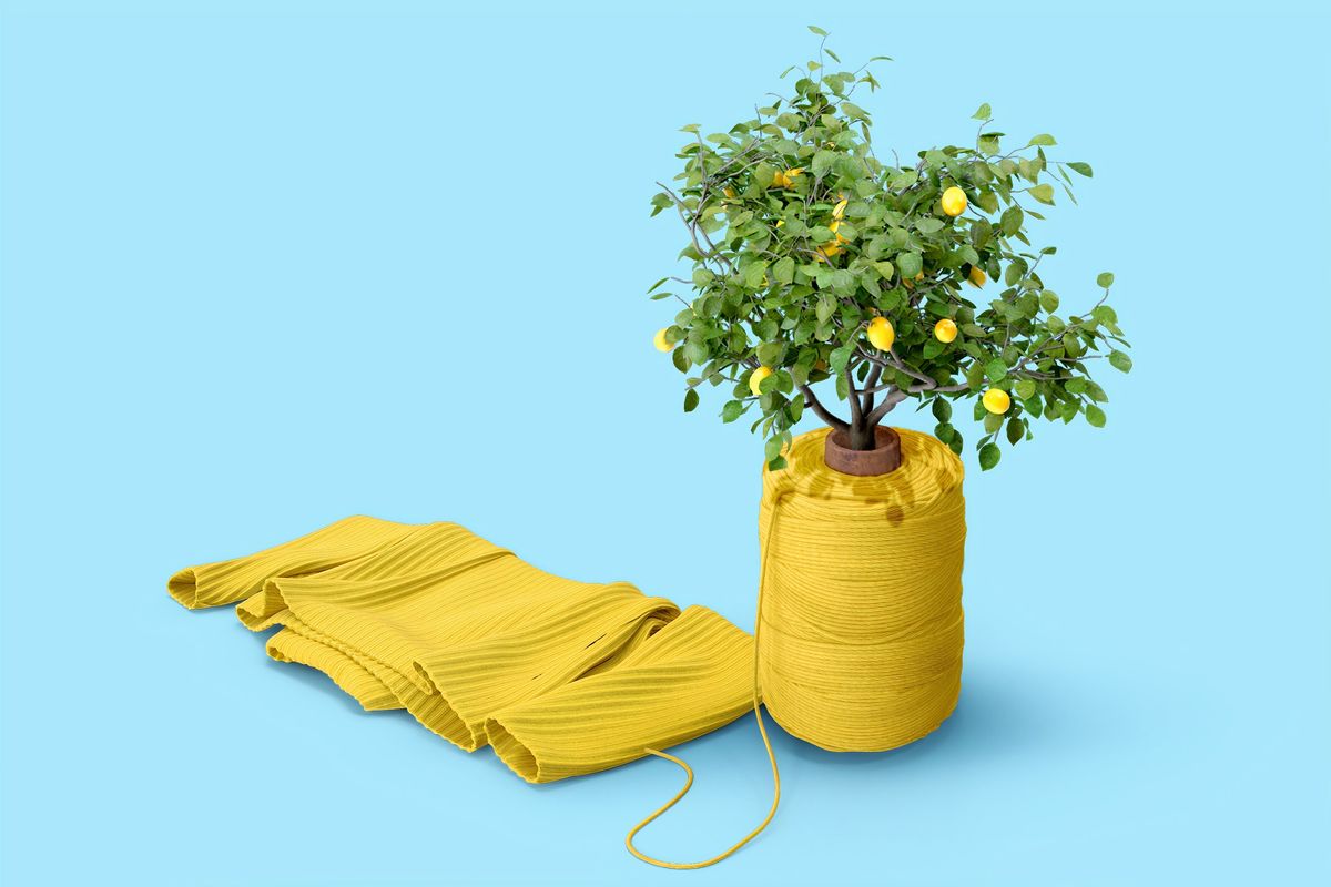 Remote Work, Climate and Sustainability