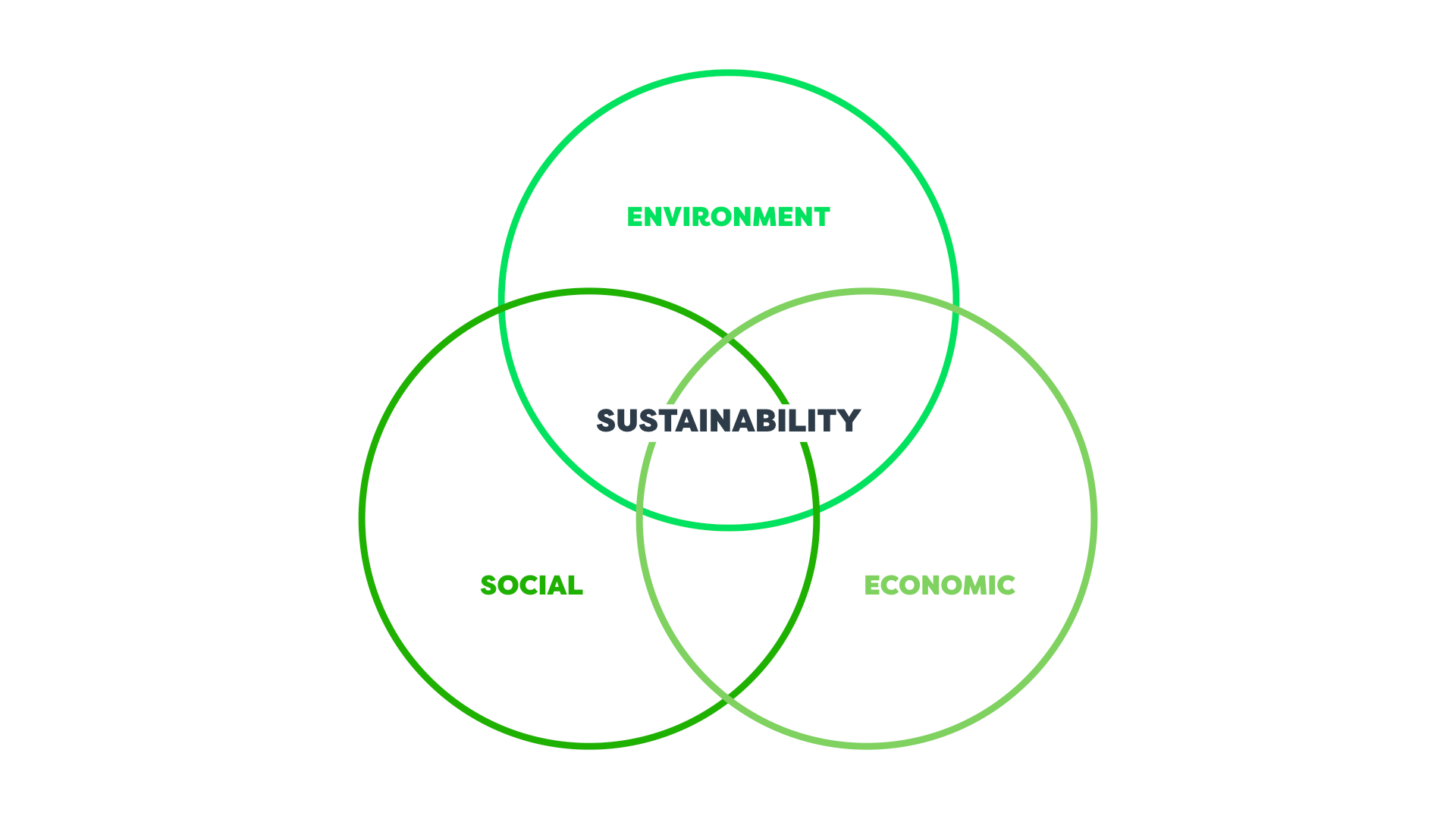 The Business Case for Sustainability
