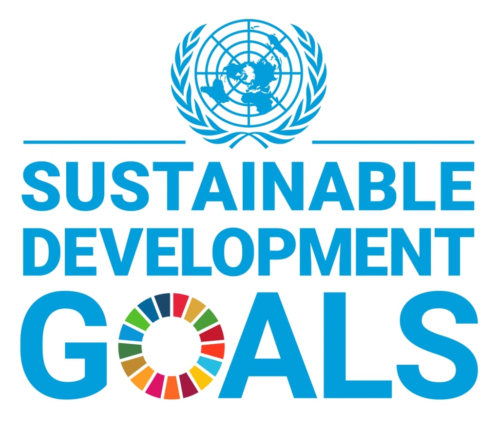 UN SDG social impact measurement